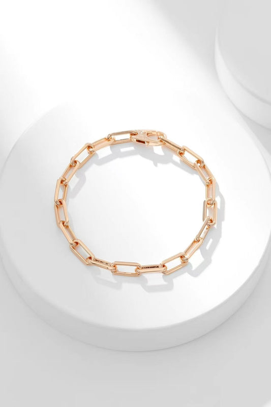 [⭐JeweliWhal jewelrys]CT CHAIN BRACELET